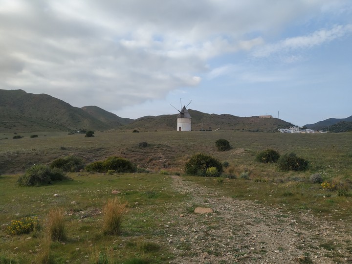 Molino