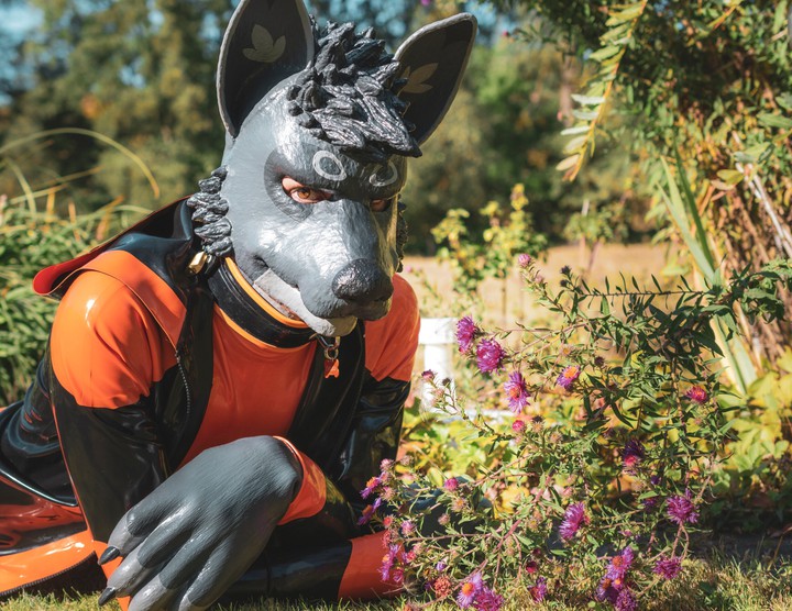 Rubber Wolf