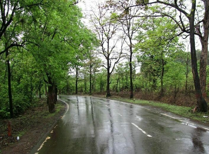 یک عصر بارونی