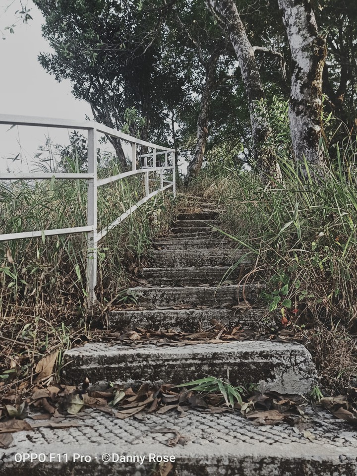 steps