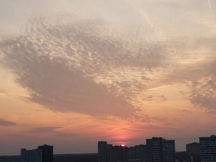 sunset in the city