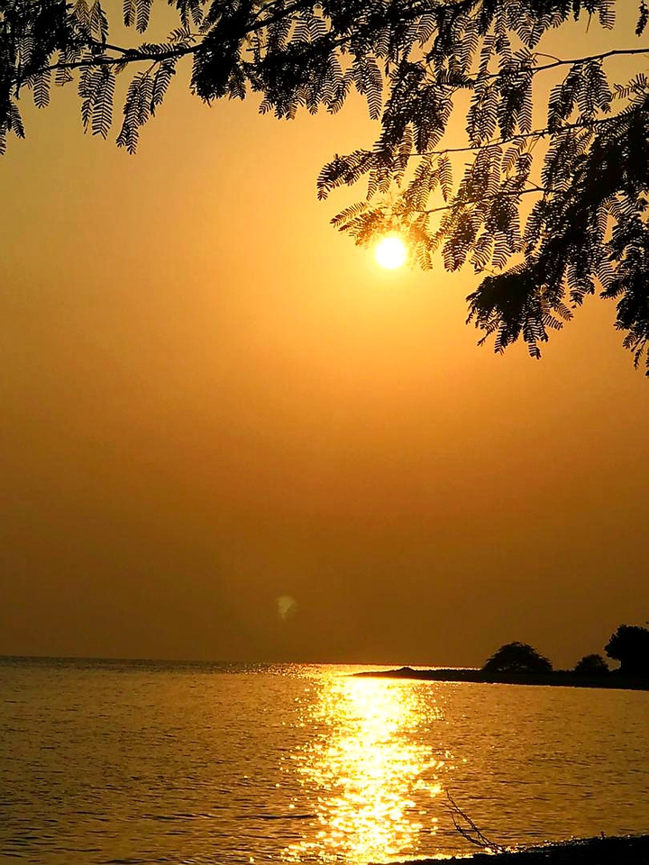 sunset