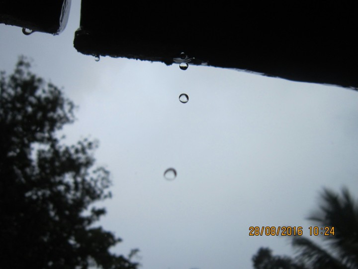 Raindrops