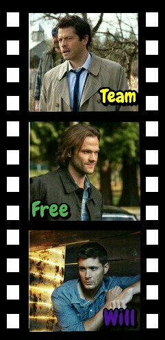 Team Free Will