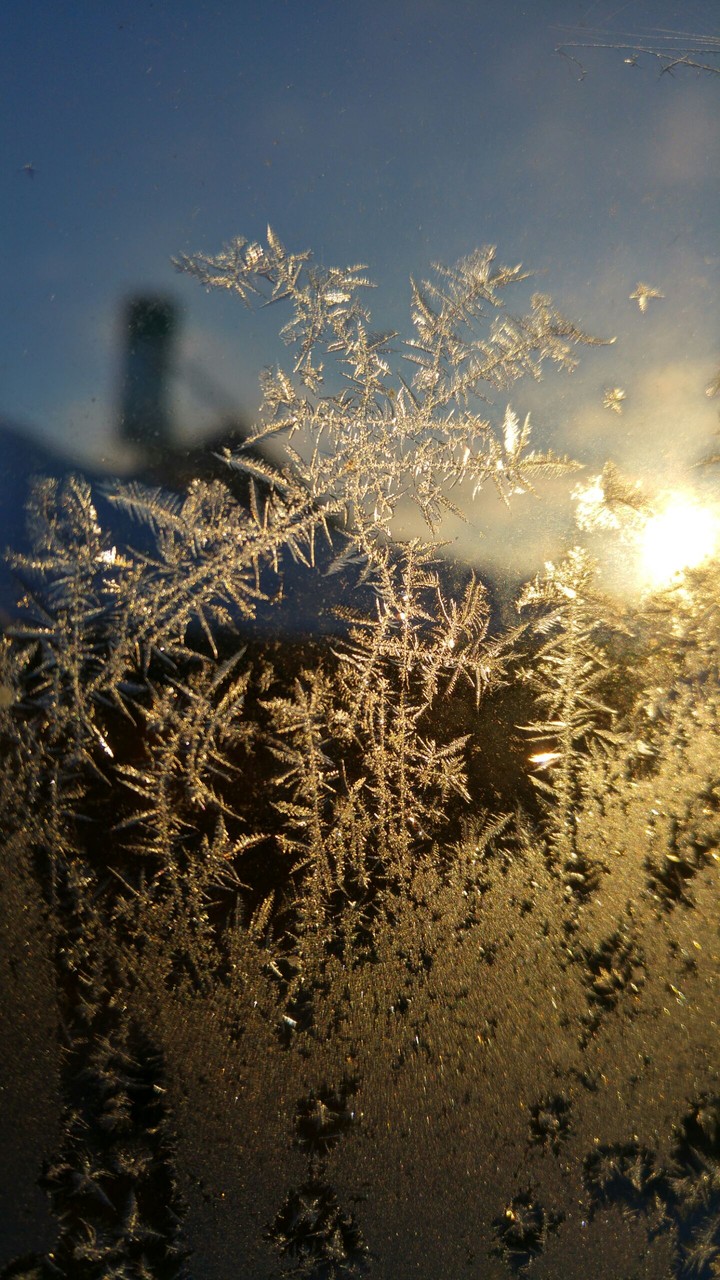 ice and sun