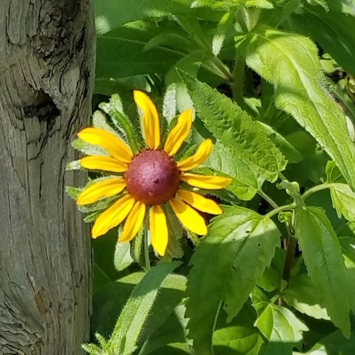 simply beautiful