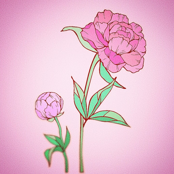 coloring book