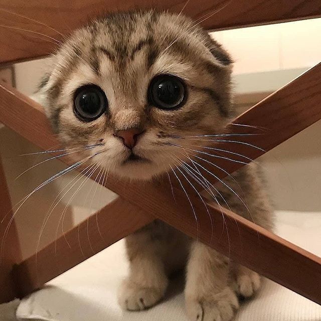*_*