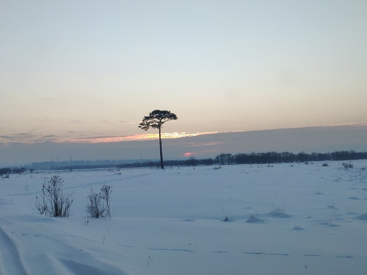 #winter