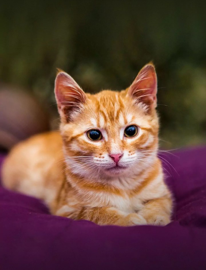 so cute