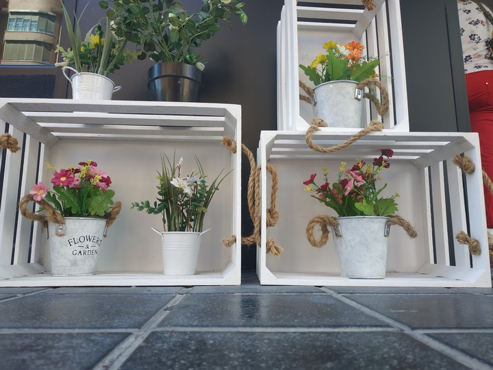 Plants