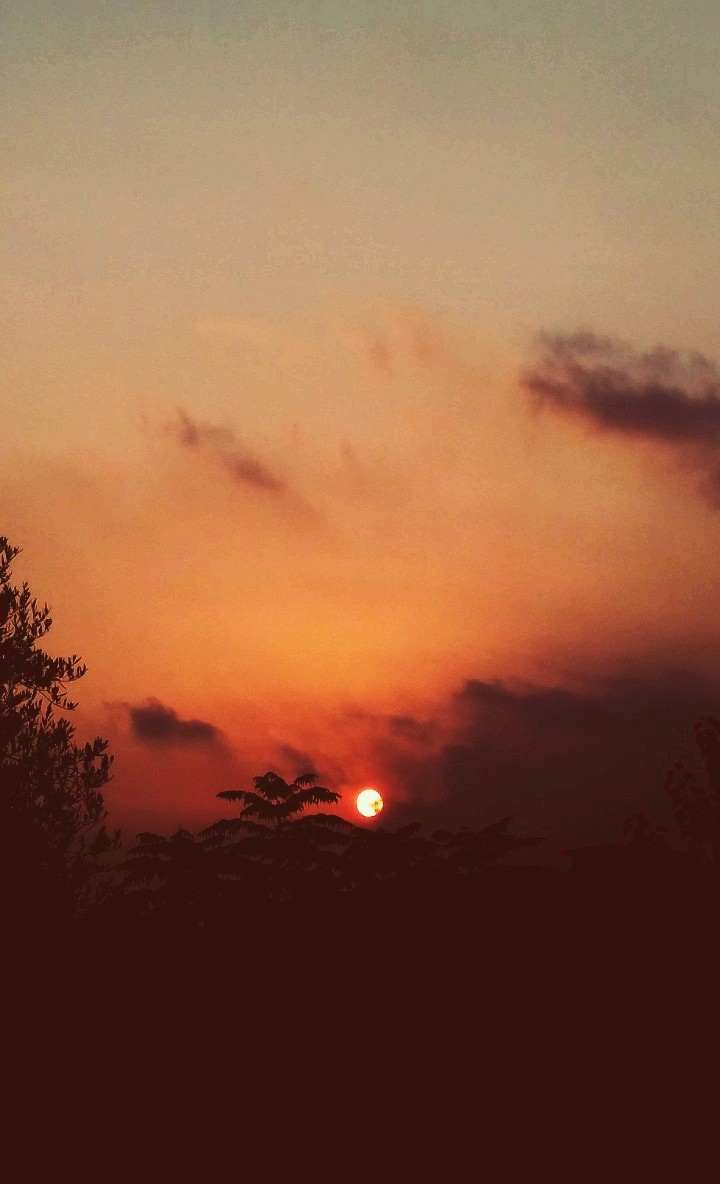 sunshine