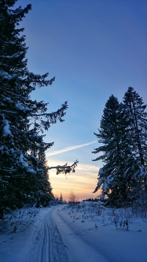 тапети freezing, snow
