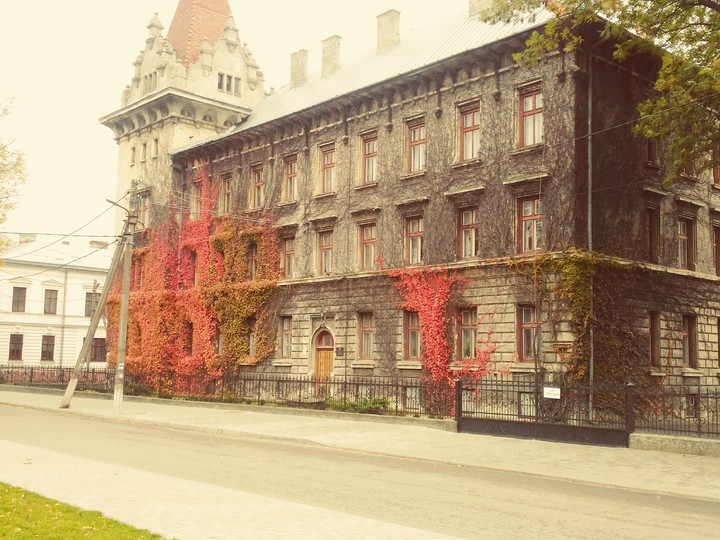 university