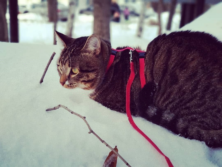Winter