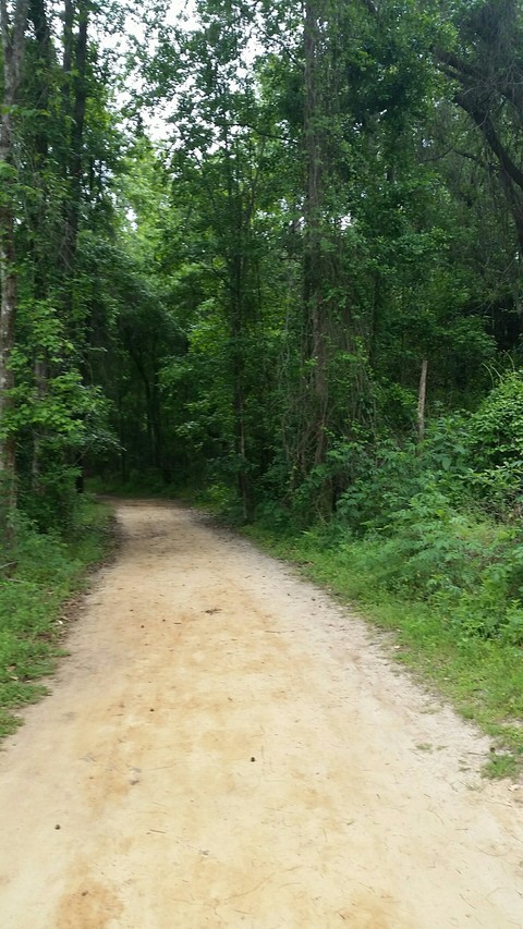 trail
