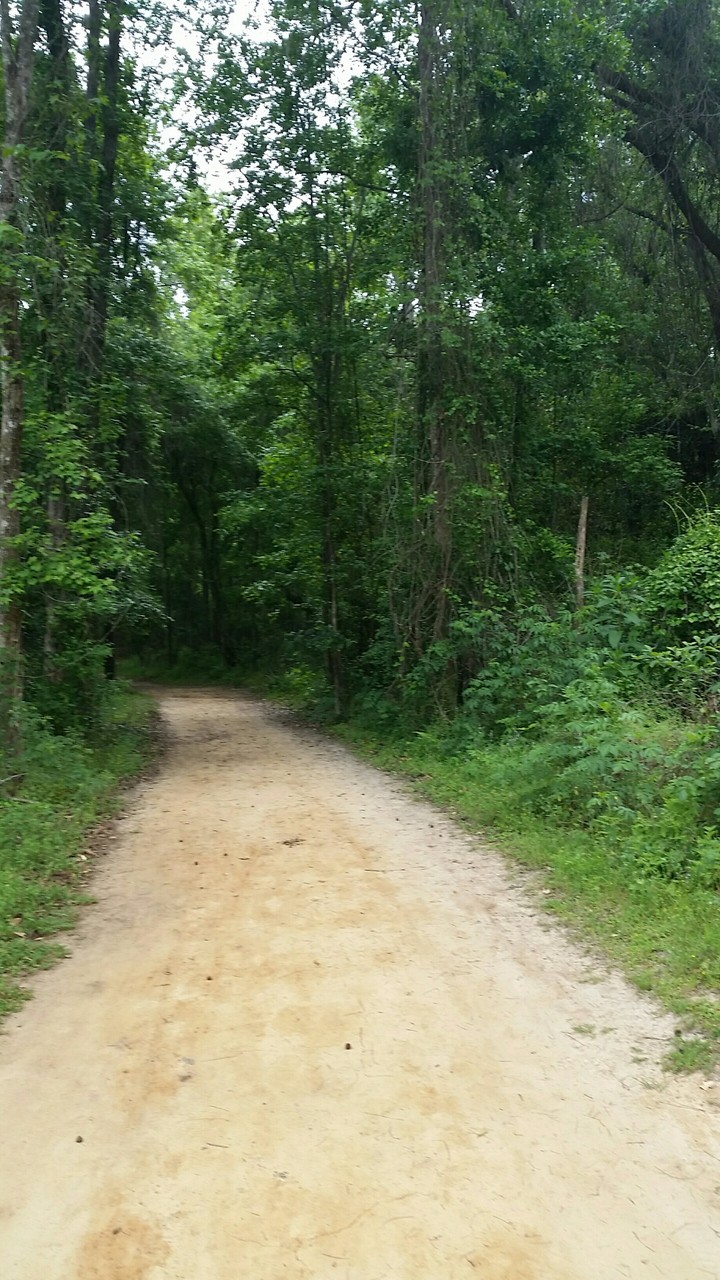 trail