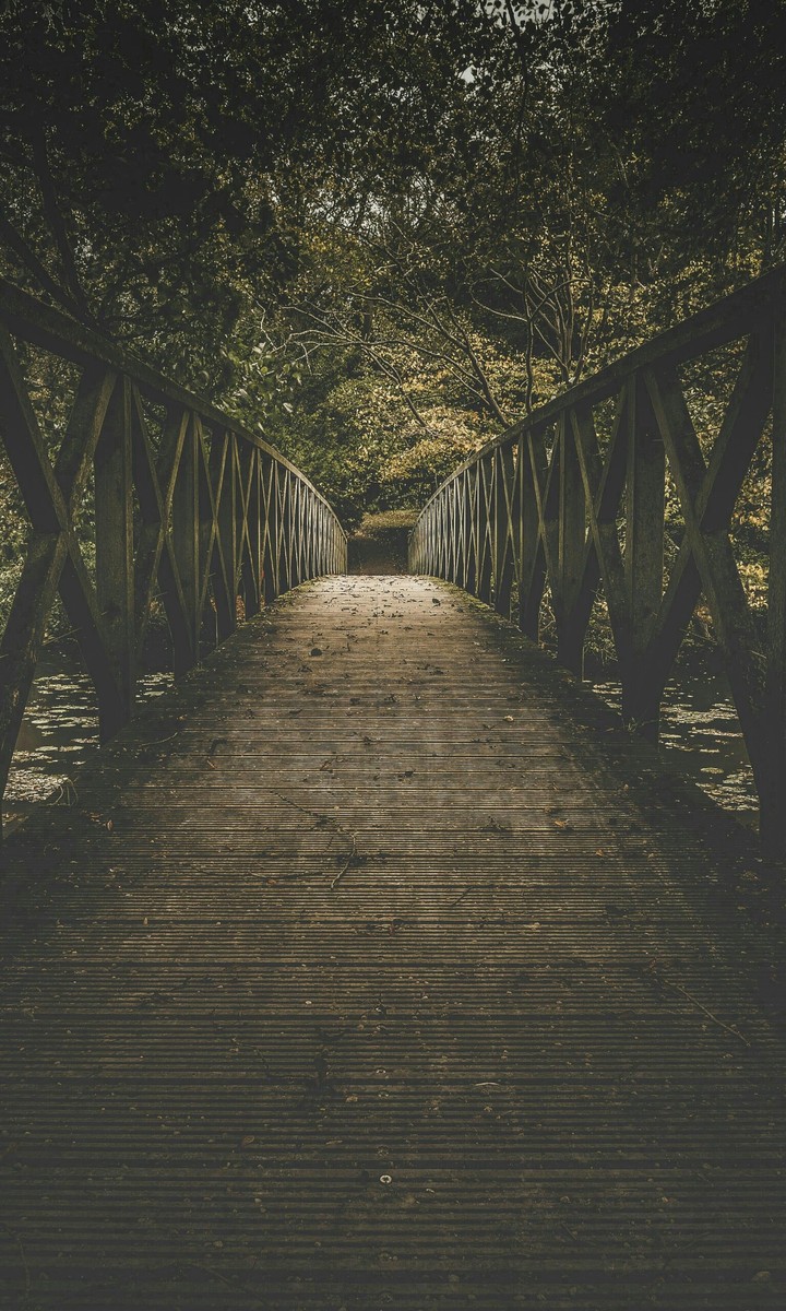 Beautiful  wooden bridge