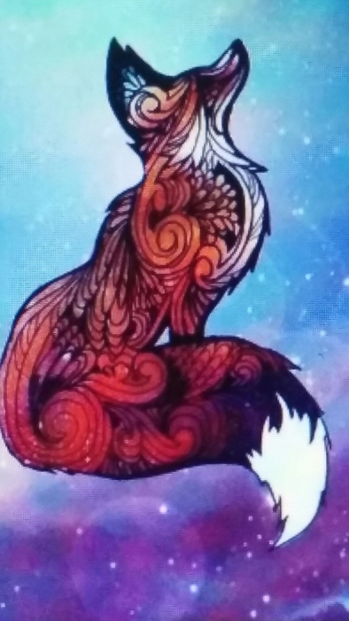 fox in space