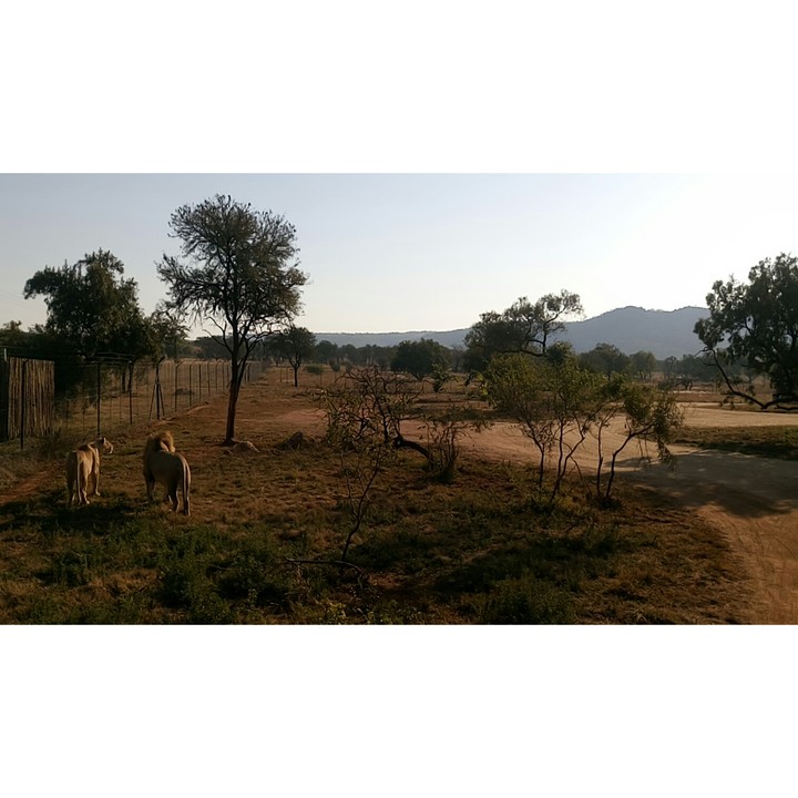 johannesburg