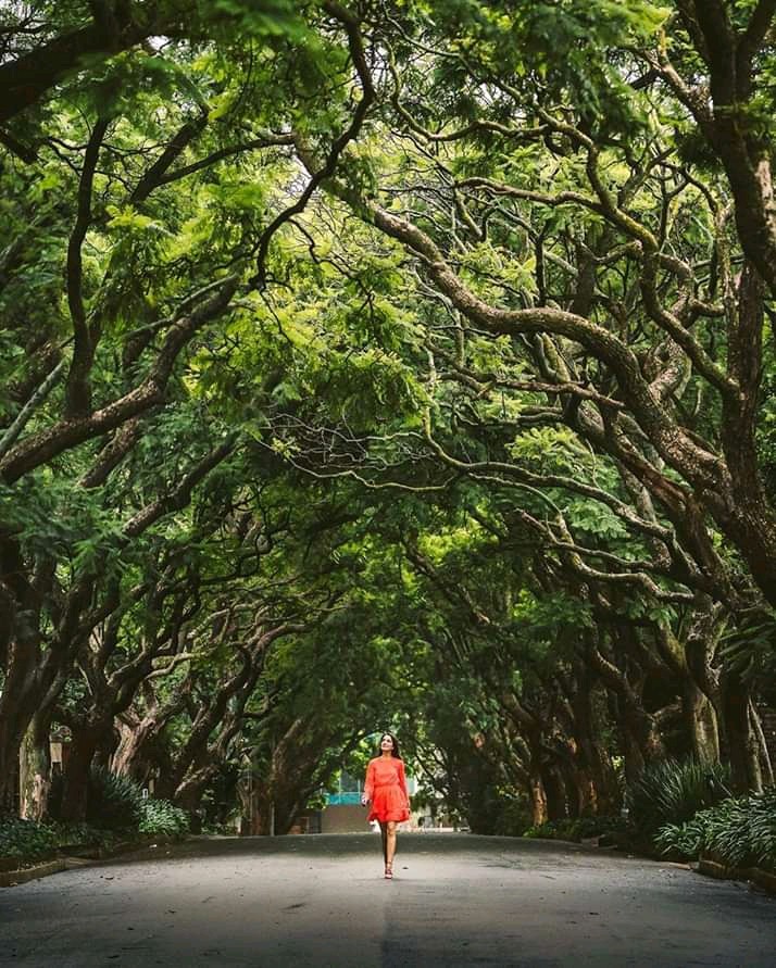 Trees are our friends...❤??️❤