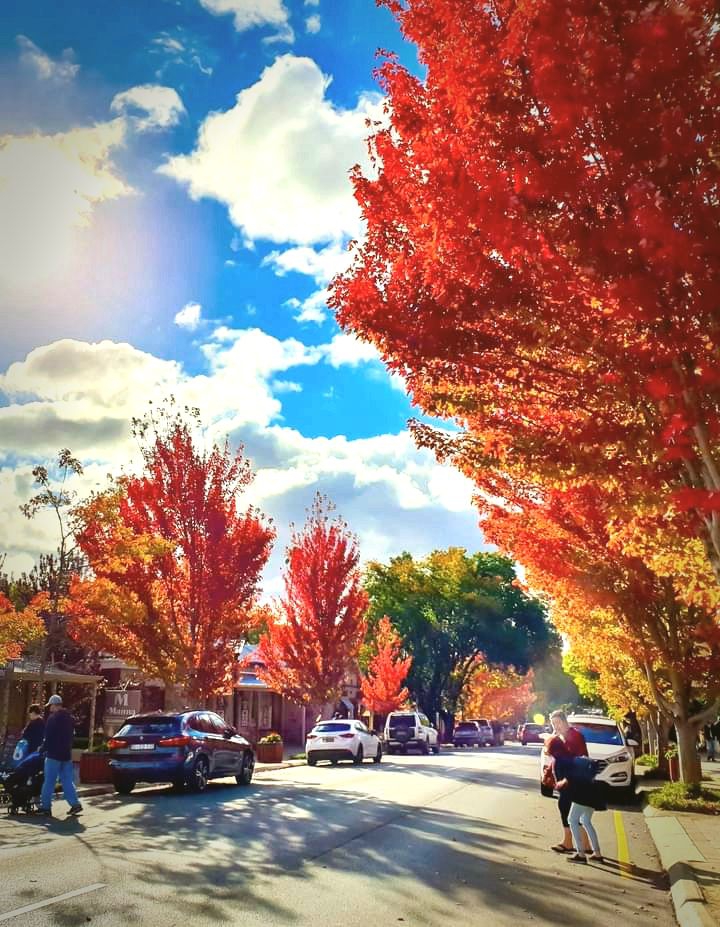 Autumn