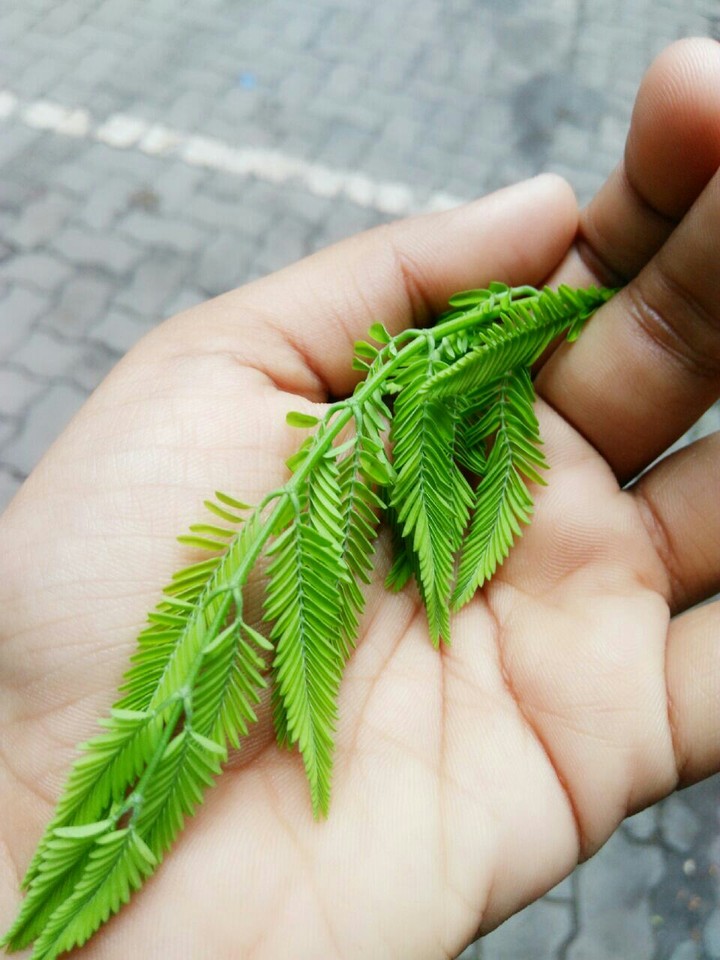 my click. follow for more