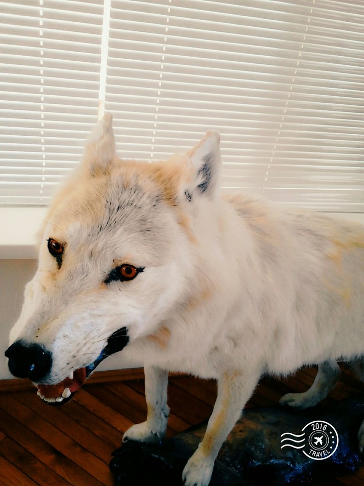 woolf