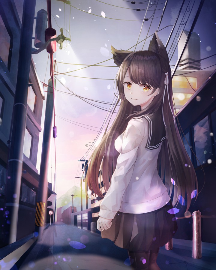 anime