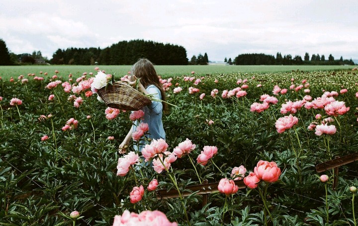 With flowers