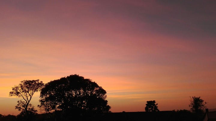 morning light