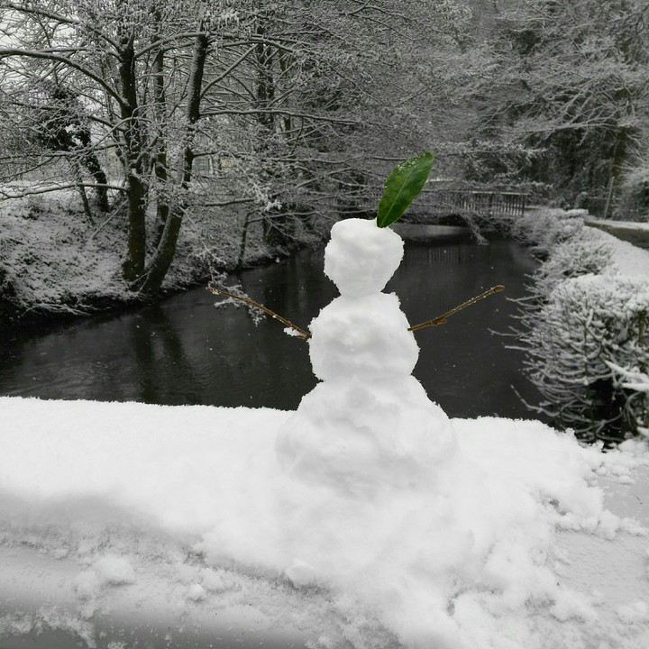 Snowman