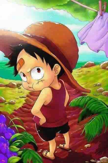 chibi luffy