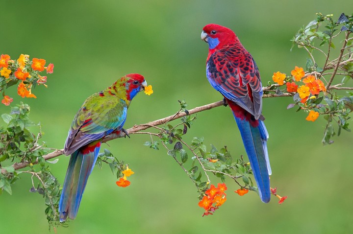 Cute Couple