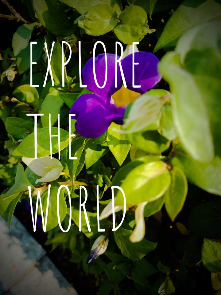 explore