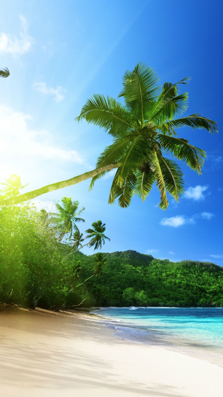 beach