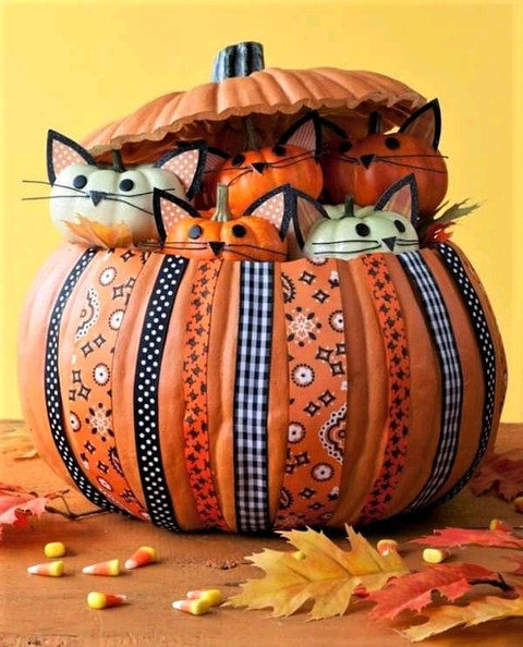 cat, pumpkin वॉलपेपर