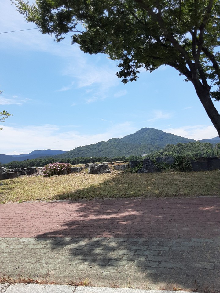 자연