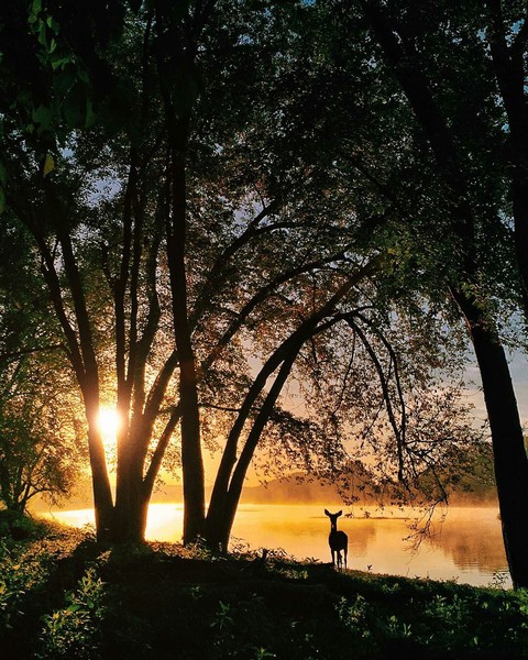 Wilderness
