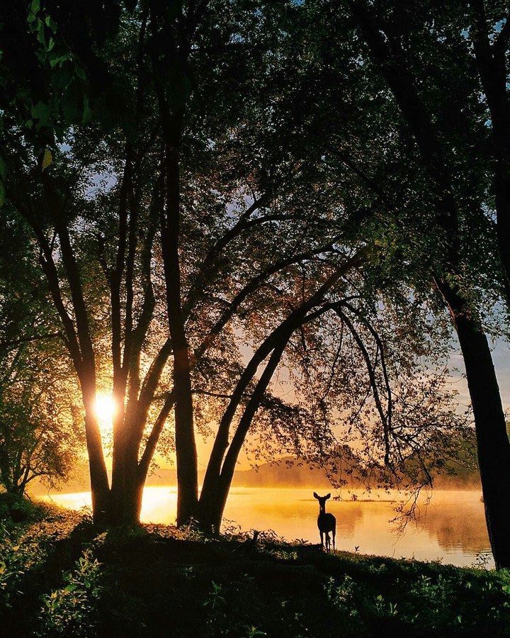 Wilderness
