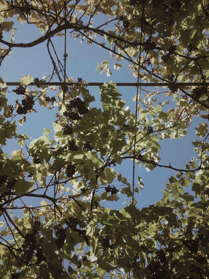 summer