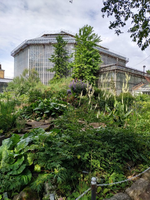 Botanical garden