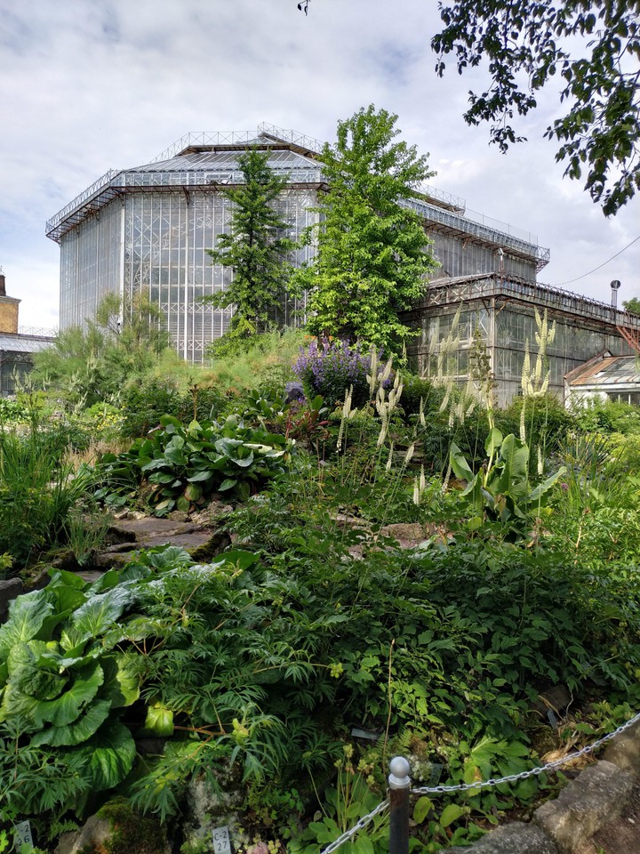 Botanical garden