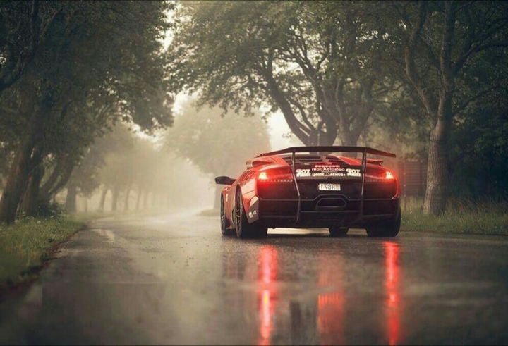 lambo
