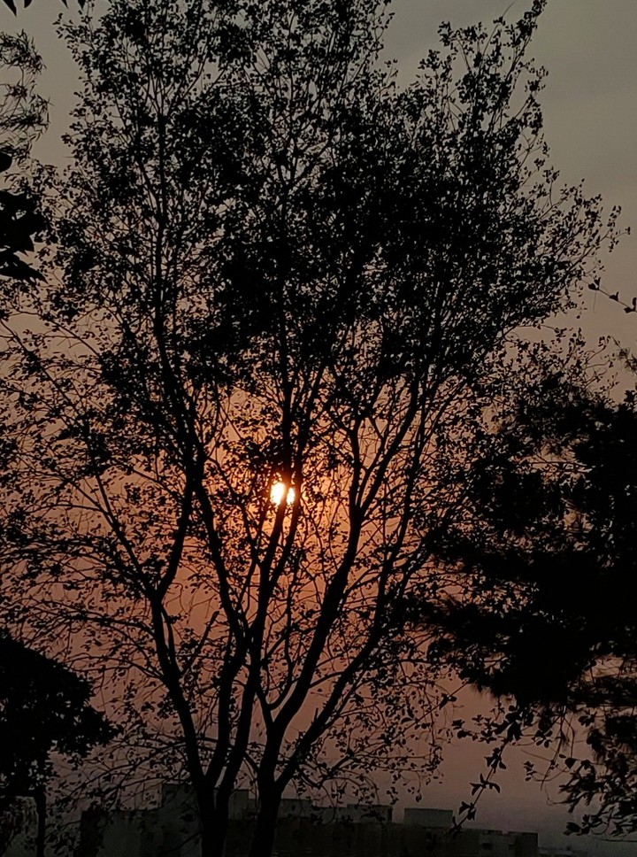 Lovely evening...