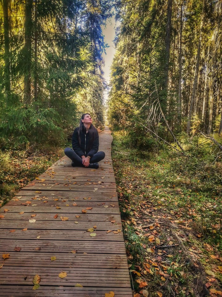 ForestPath