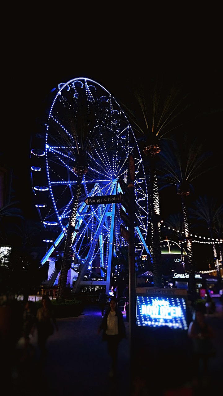 ferris wheels at night