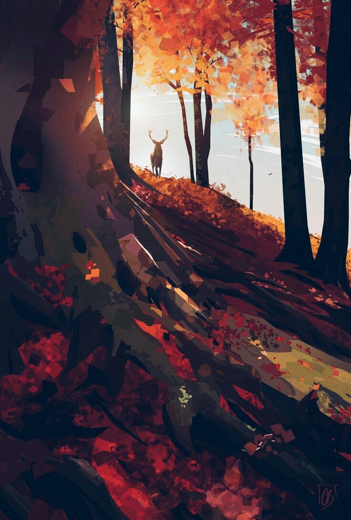 Image~.