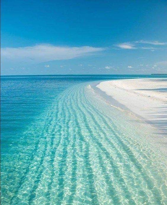 sea