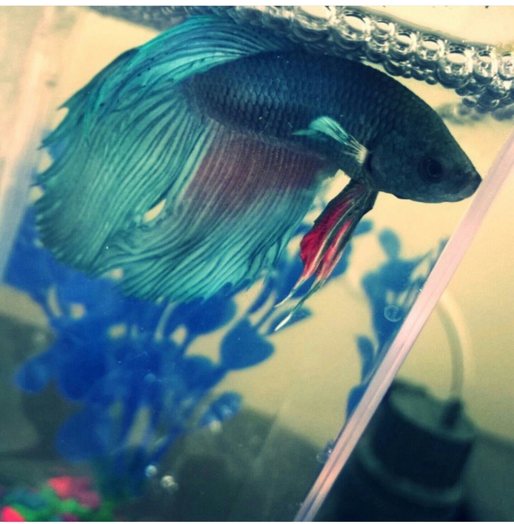 My good ol' buddy jeff